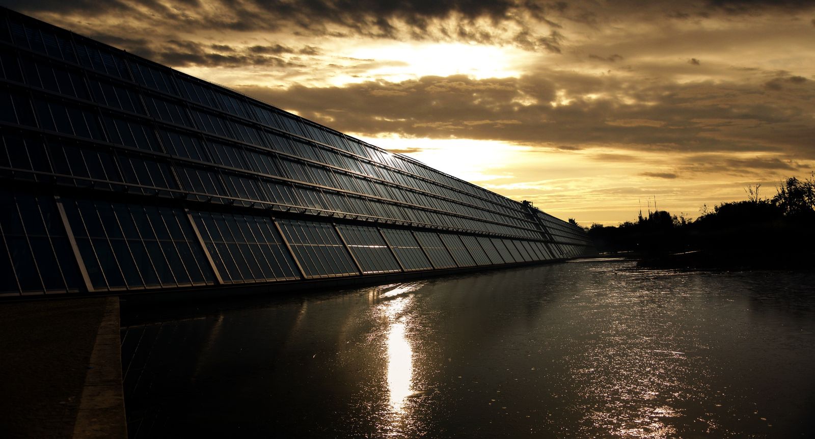 Solar field at sunset