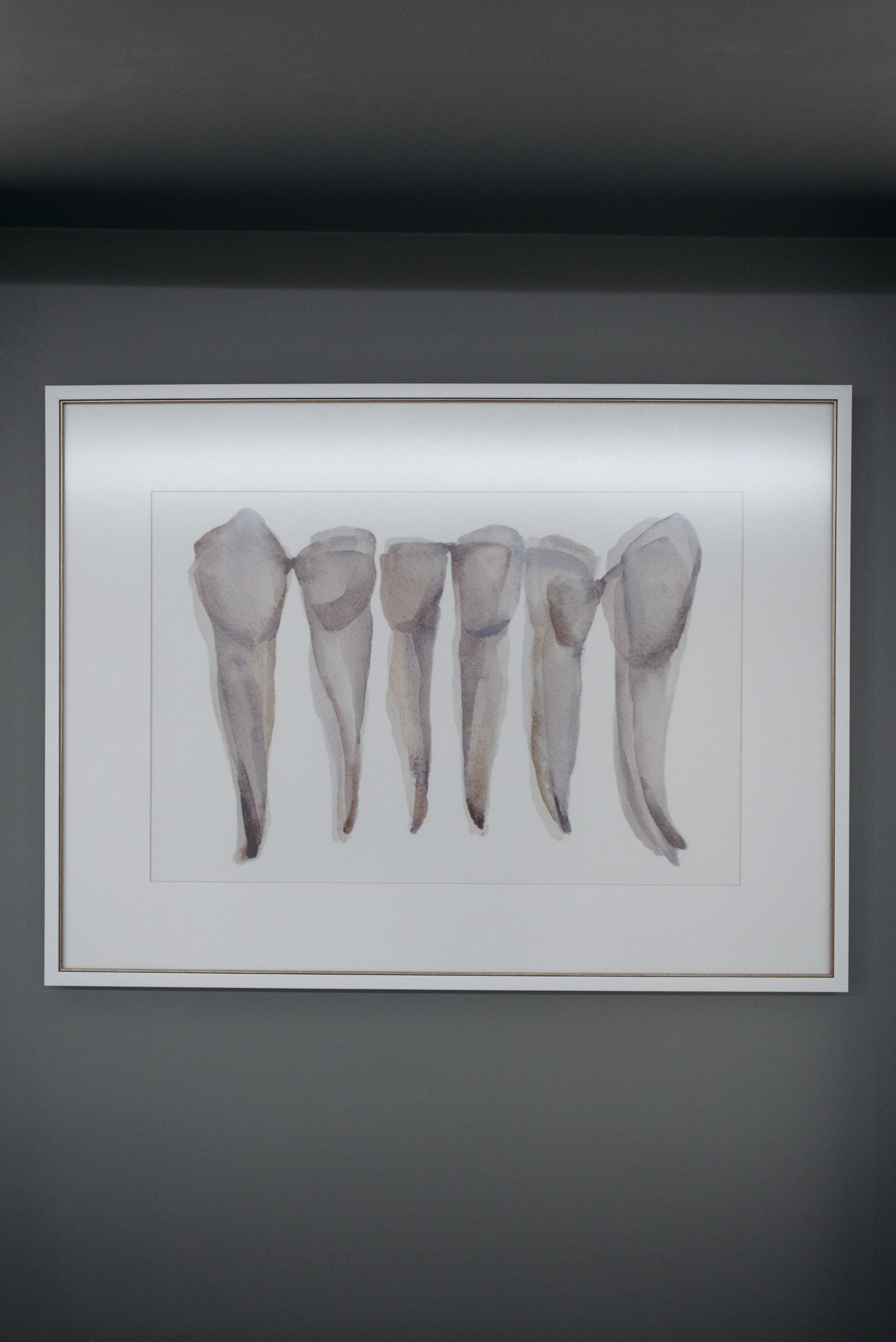 Anatomical tooth models
