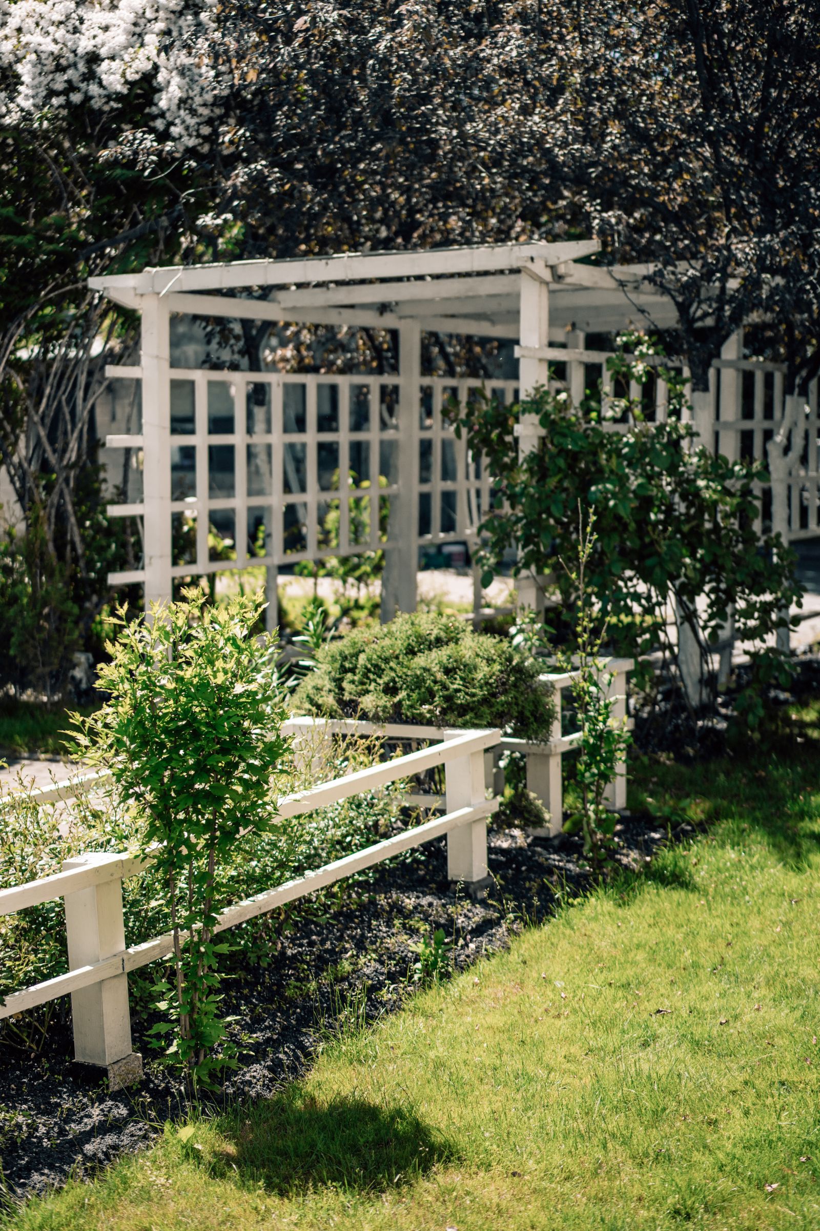 A flagstone walkway through a landscaped yard