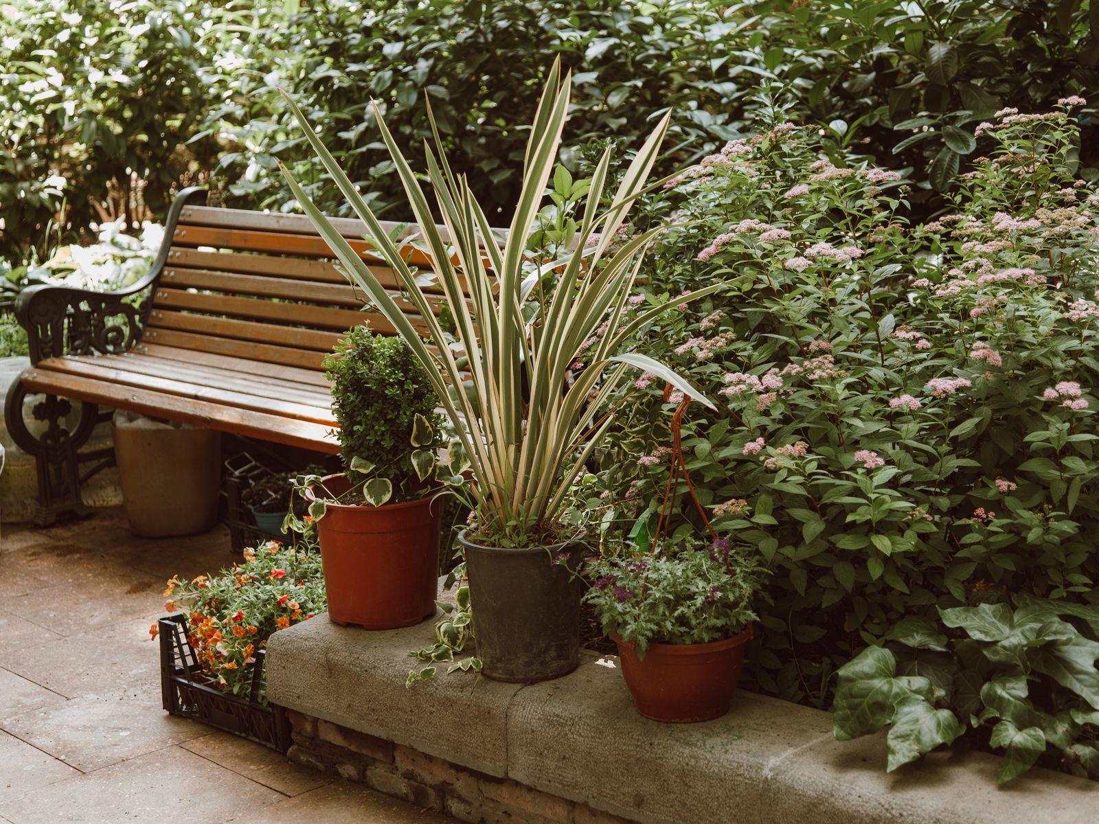 Garden path with planted borders