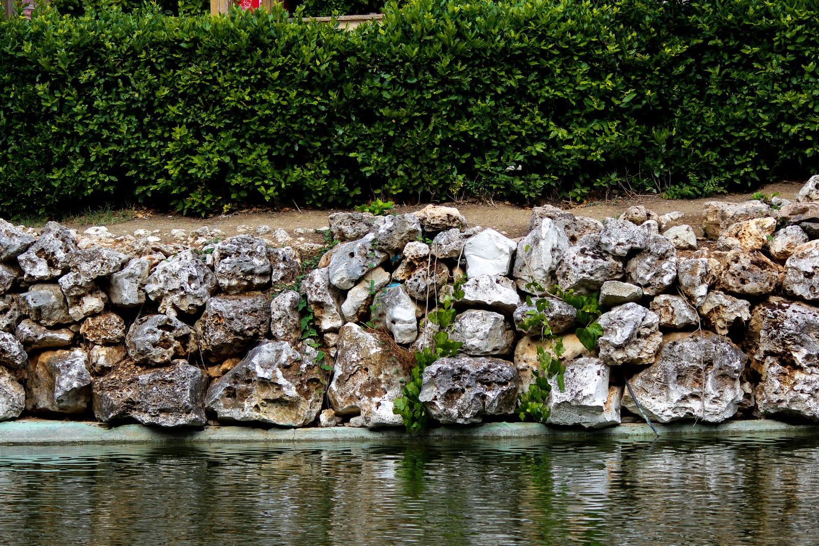 Terraced backyard with retaining walls and steps