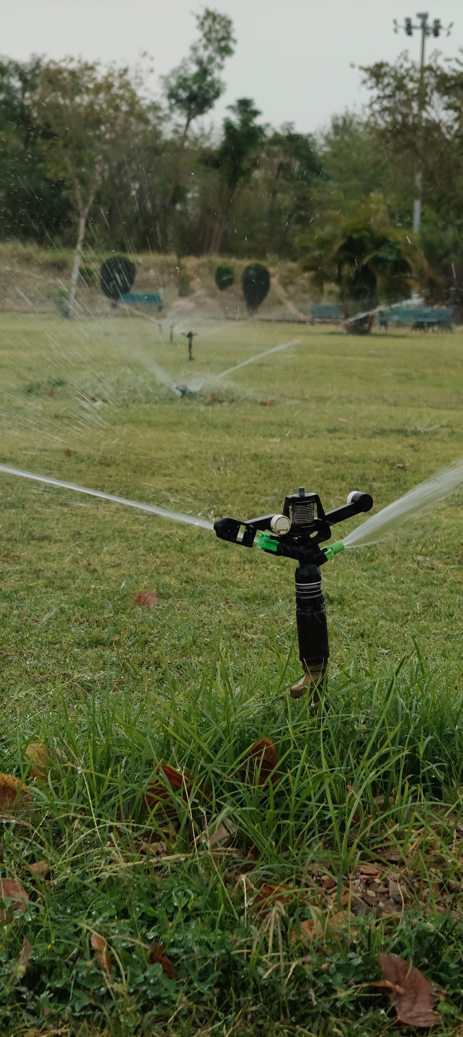 An irrigation sprinkler watering a lawn