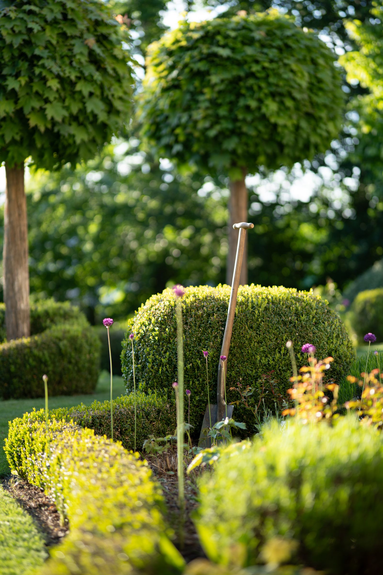 Freshly planted garden beds