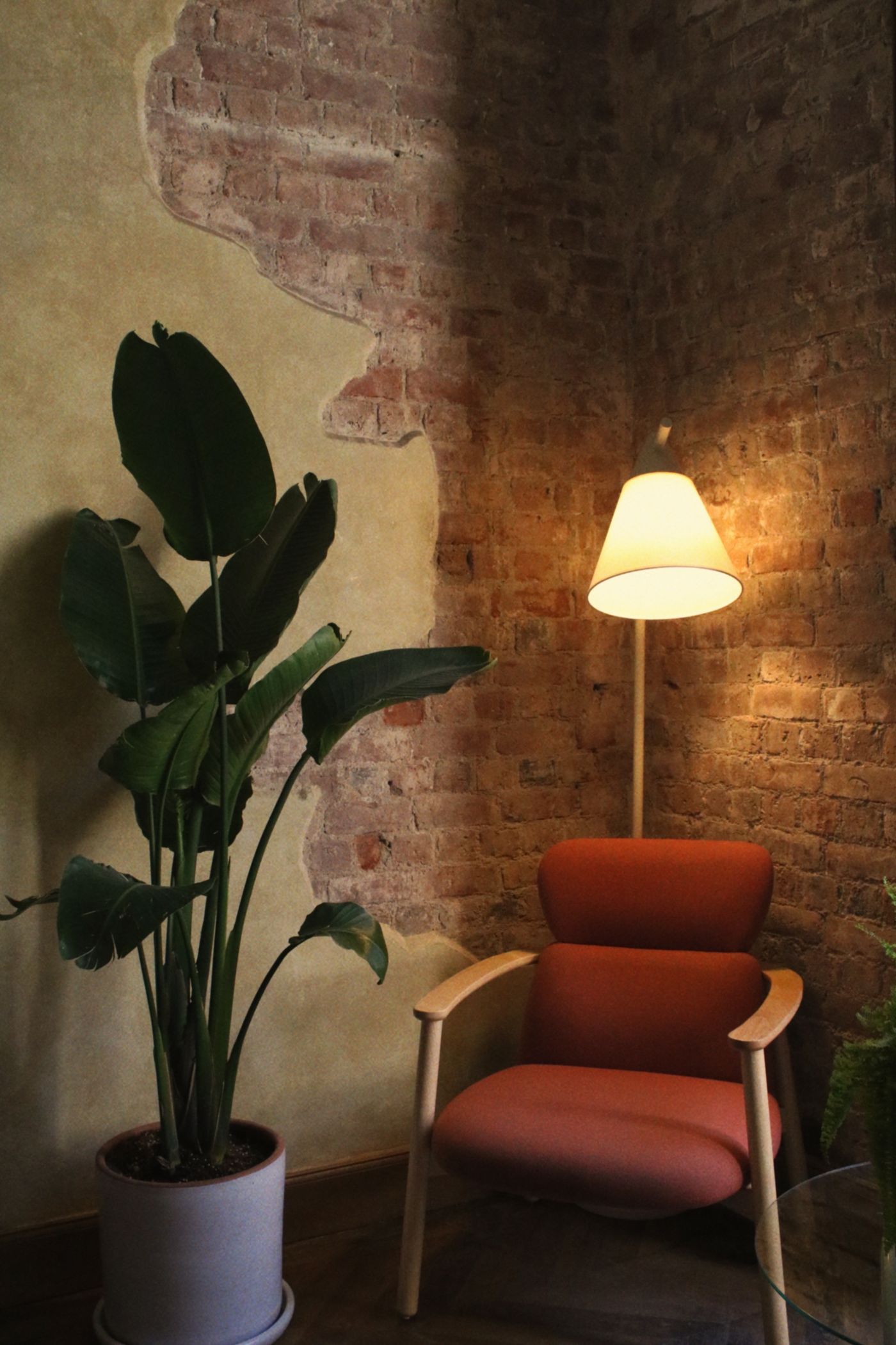 An armchair and tall plant in a warm brick corner