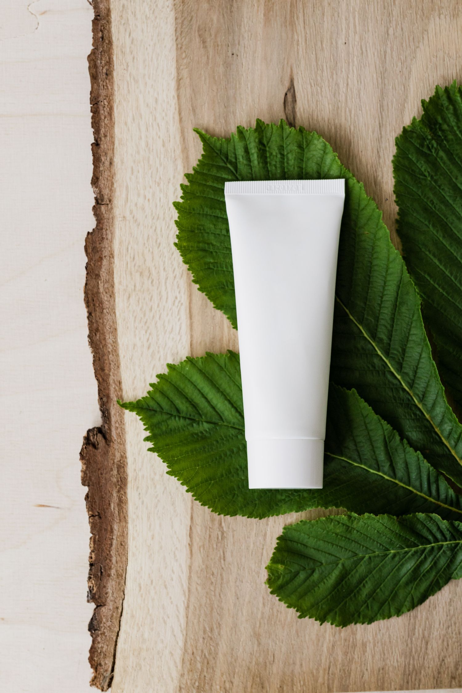 White cosmetic tube on leaf