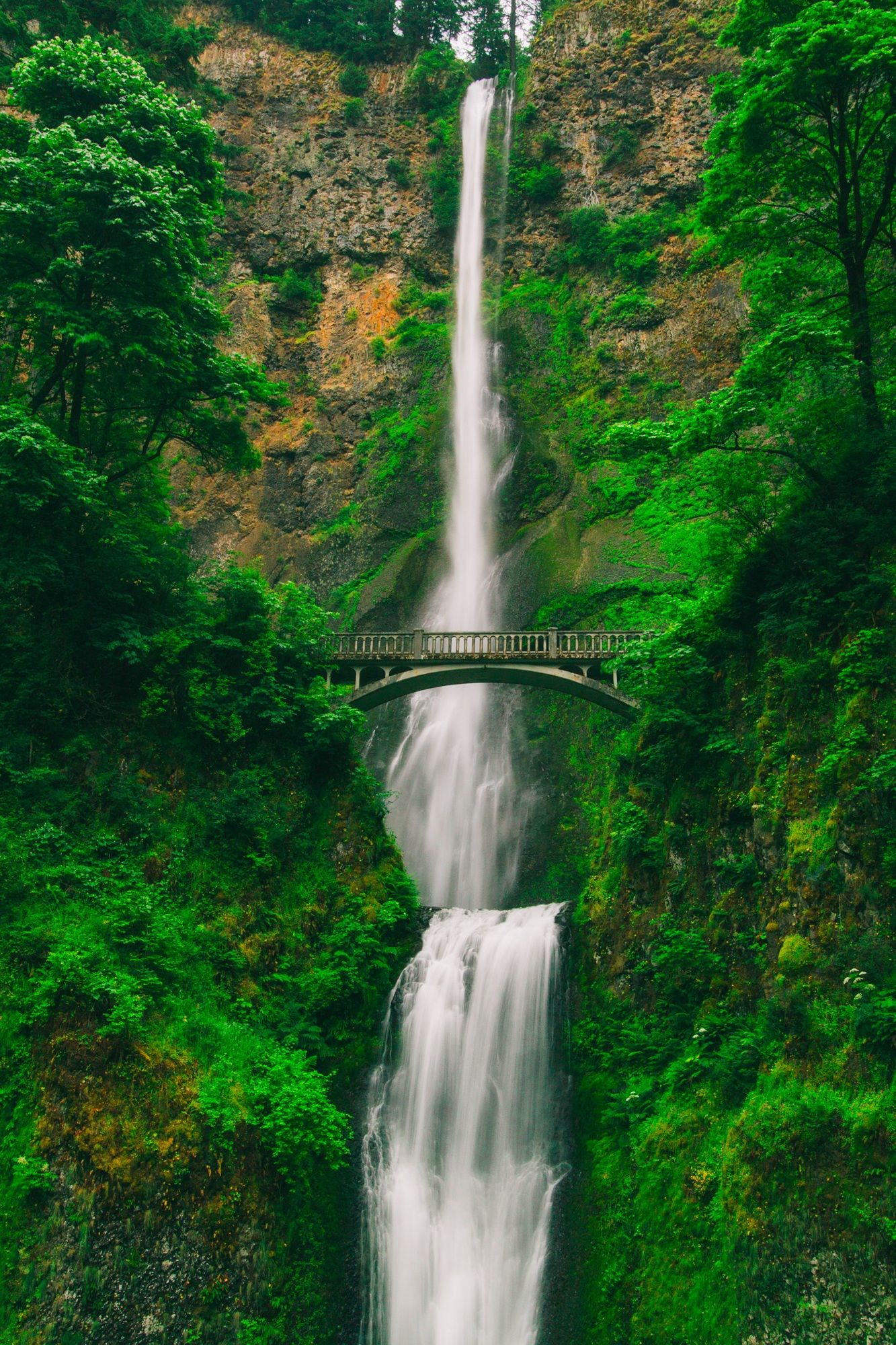 Lush Pacific-Northwest forest waterfall near the cove