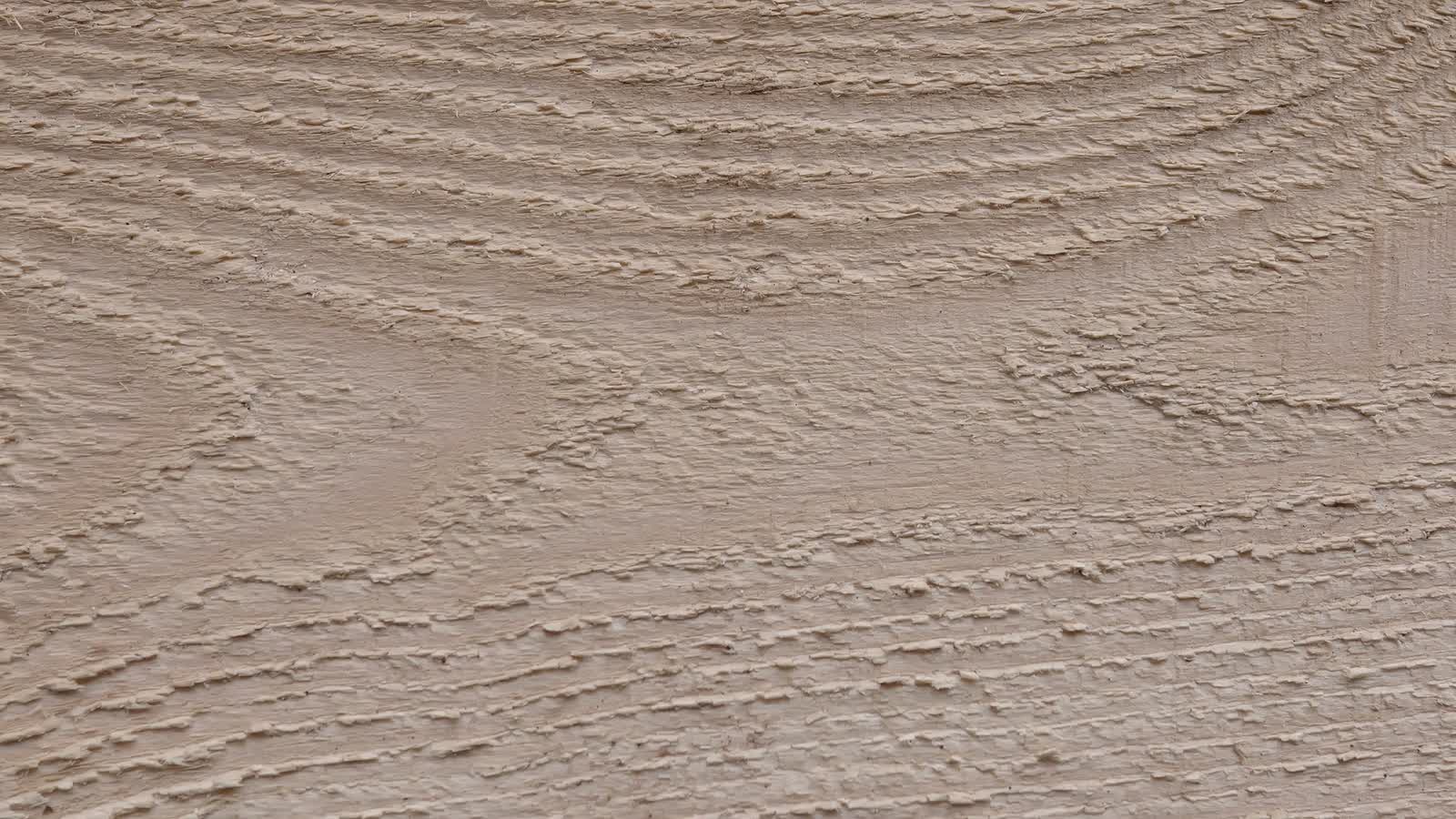 Cedar plank grain