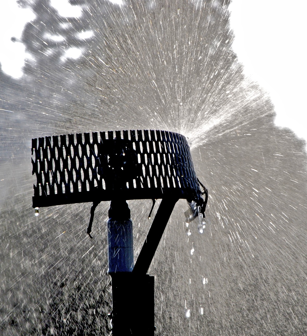 A sprinkler throwing an even arc of water over a lawn