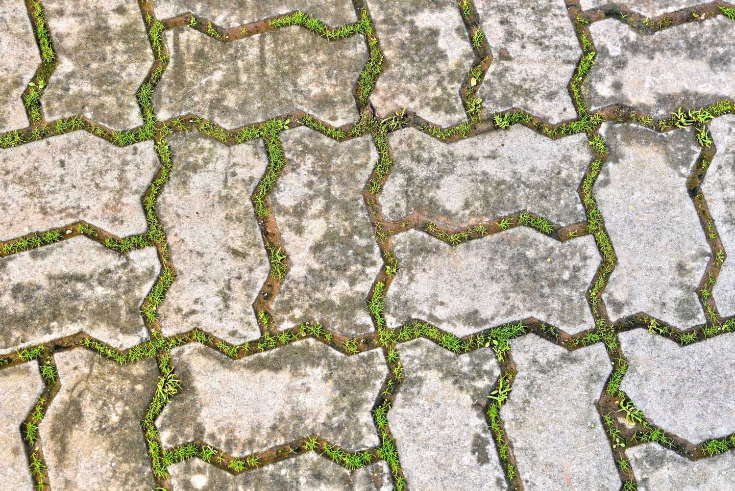 Paver base course being set