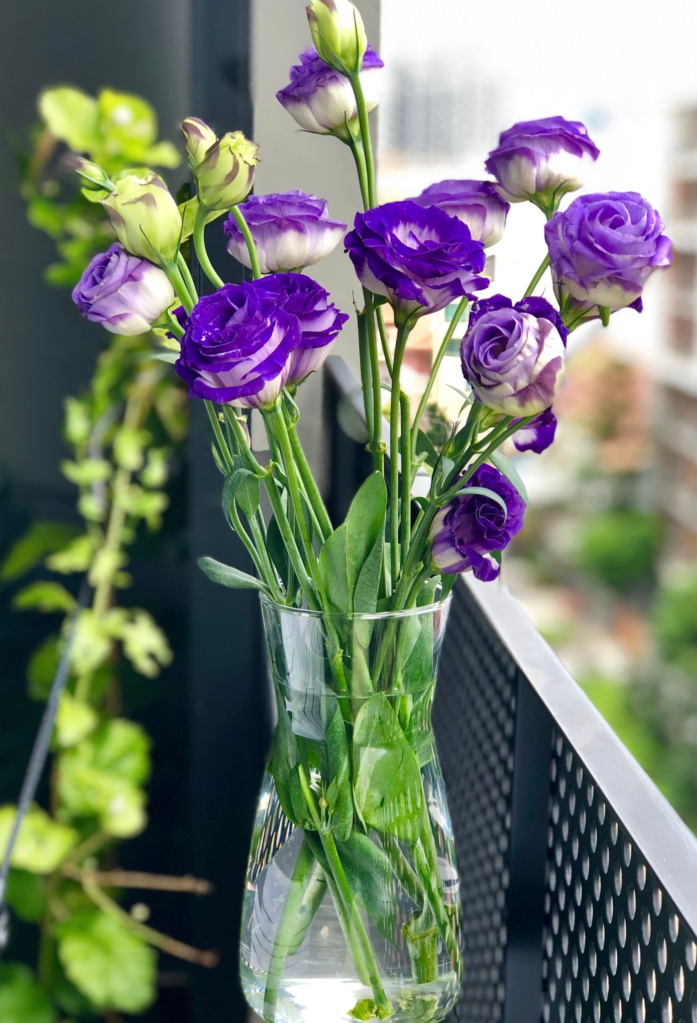 Purple iris and tulips in a vase