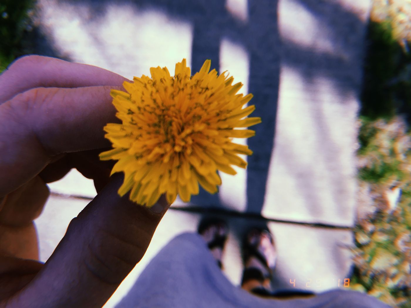 A small single-bloom posy