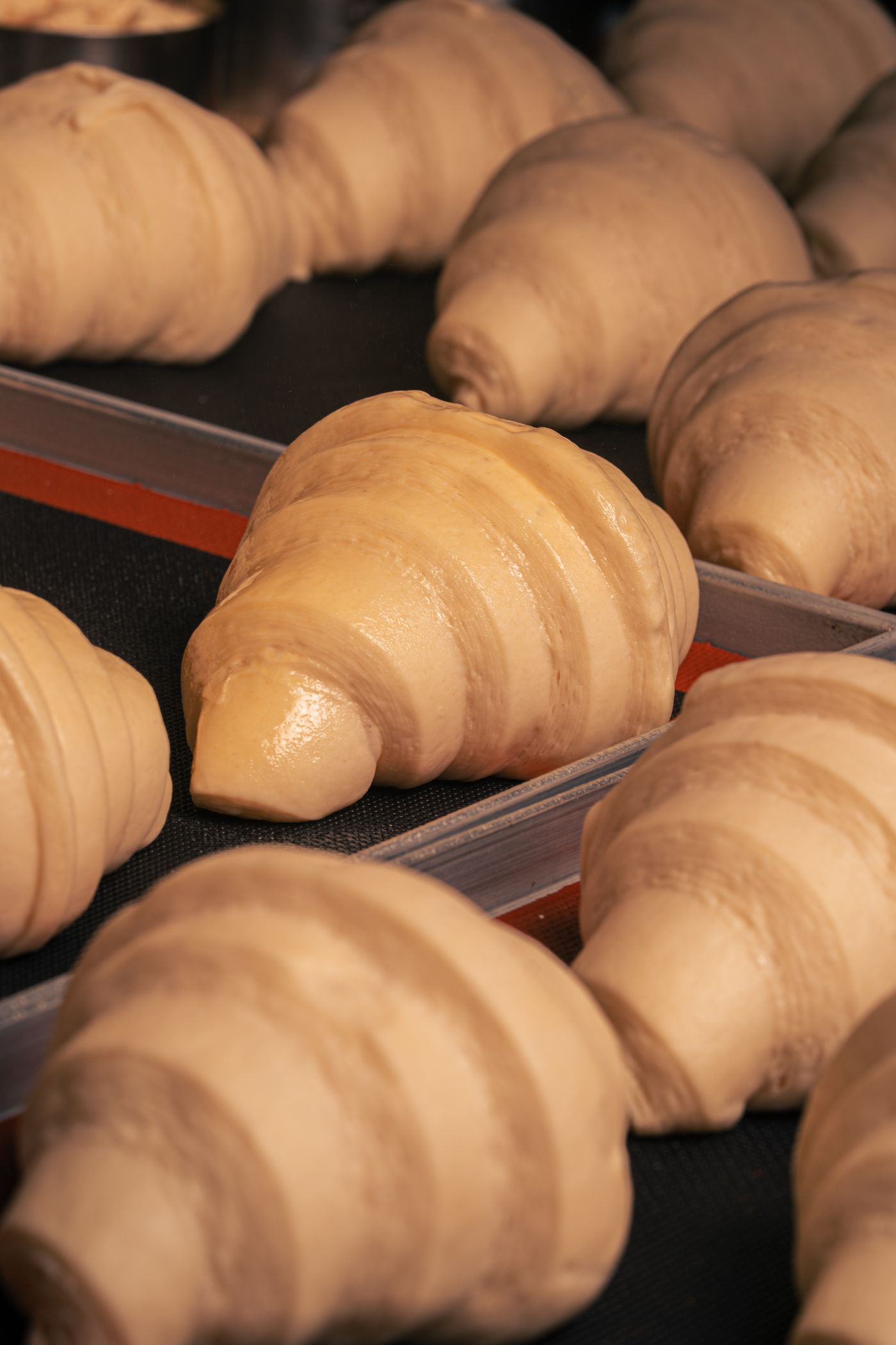 Rolled raw croissant dough, laminated and shaped