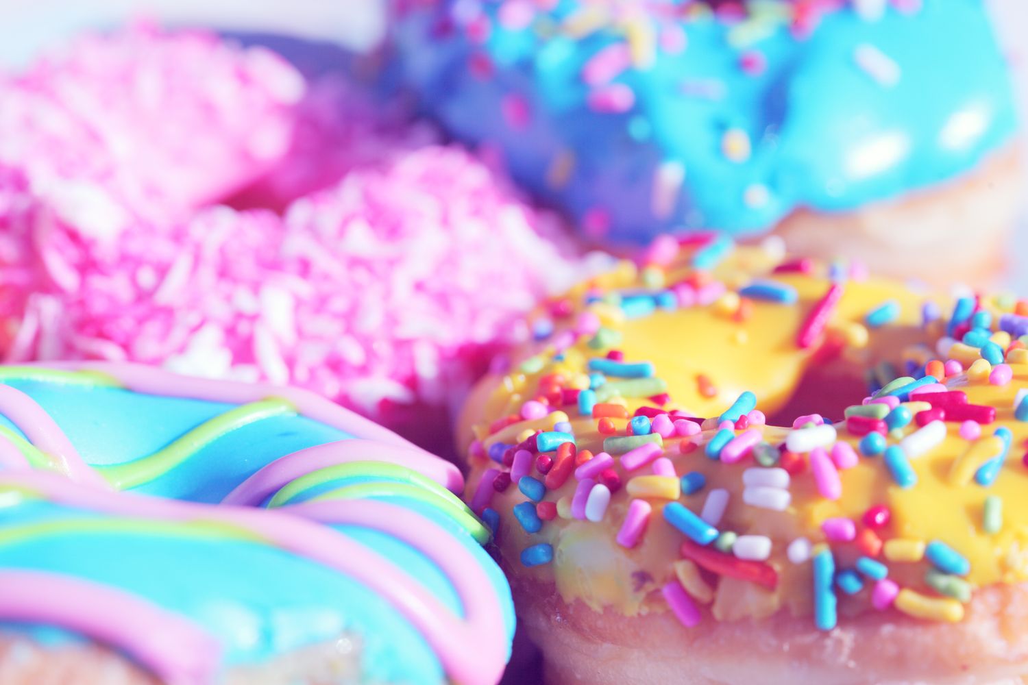 Bright, colourful doughnuts