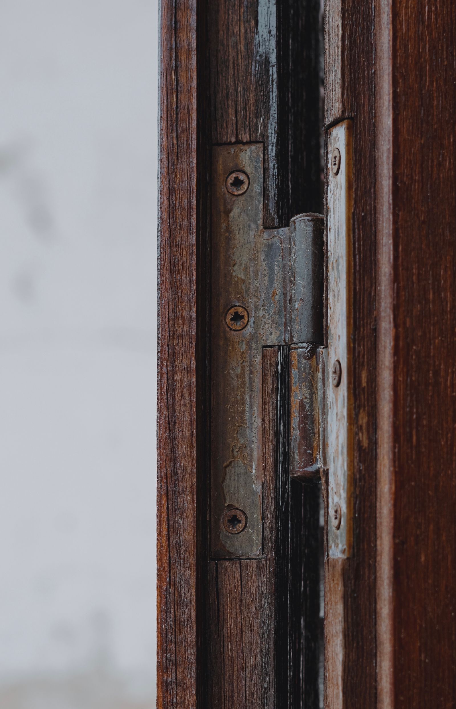 A metal hinge on a wooden door frame