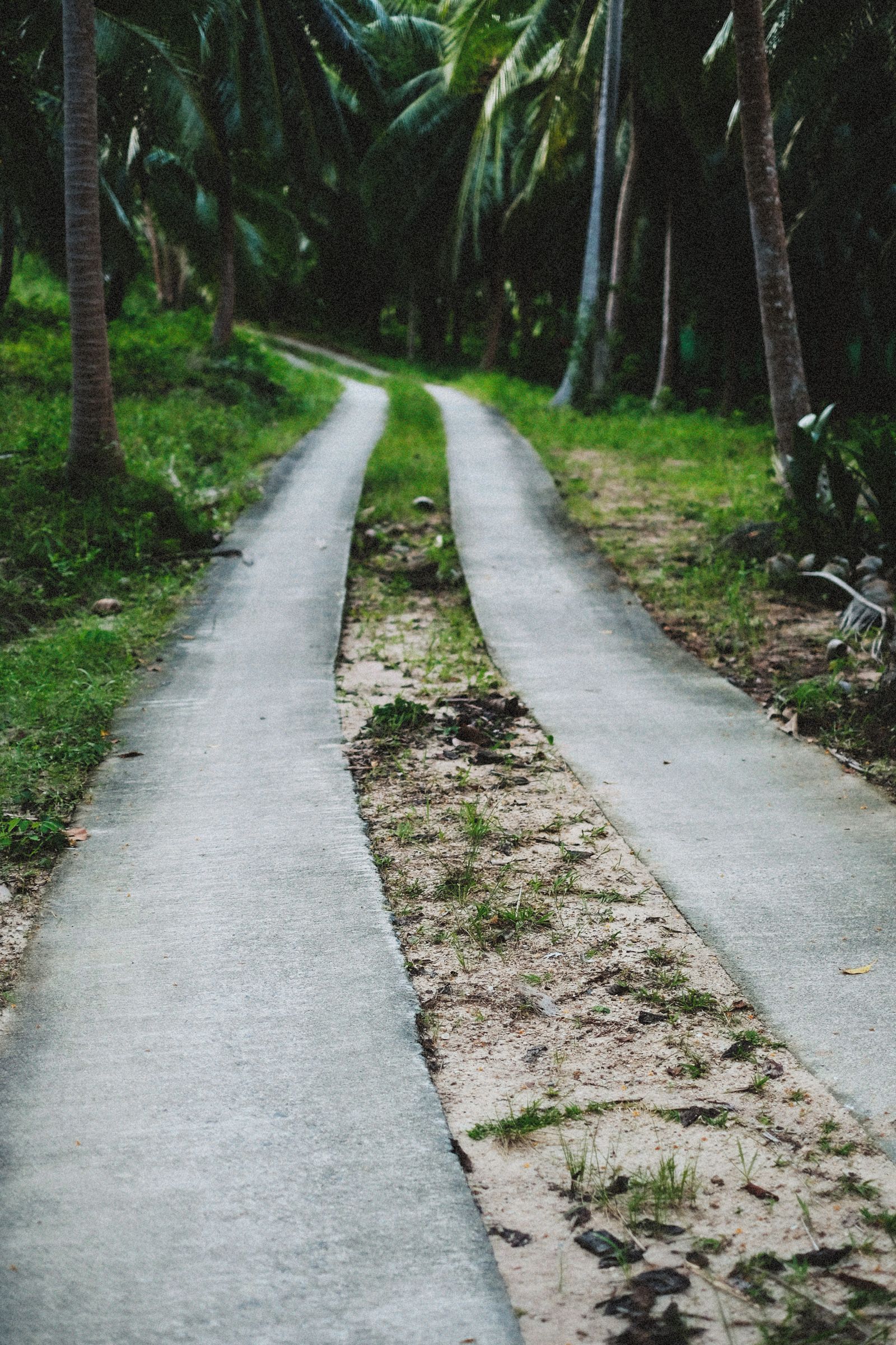 A poured concrete driveway running through a green property
