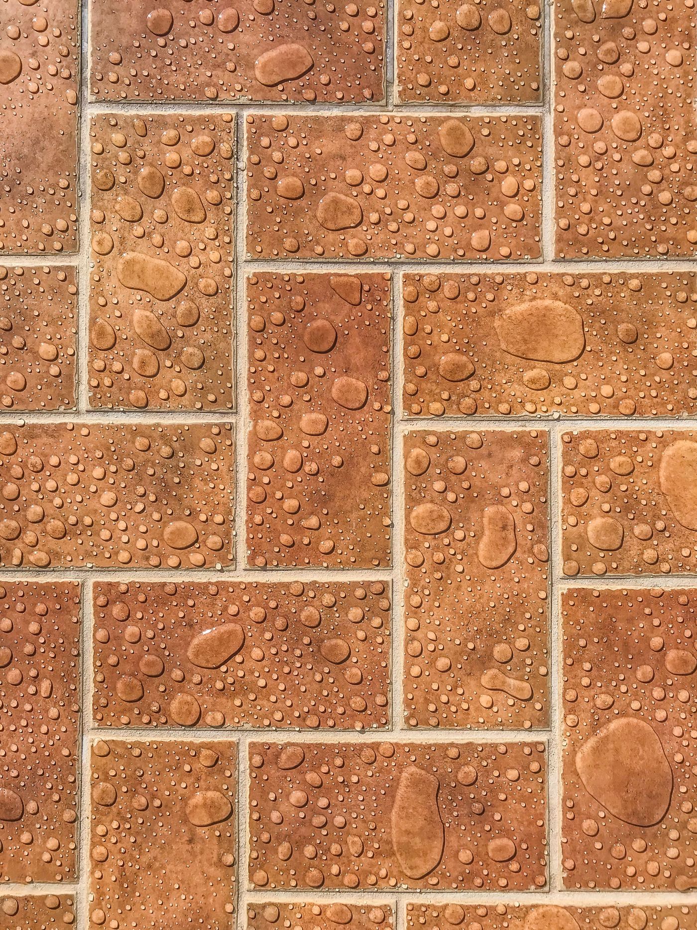 Freshly rinsed wet brick paving
