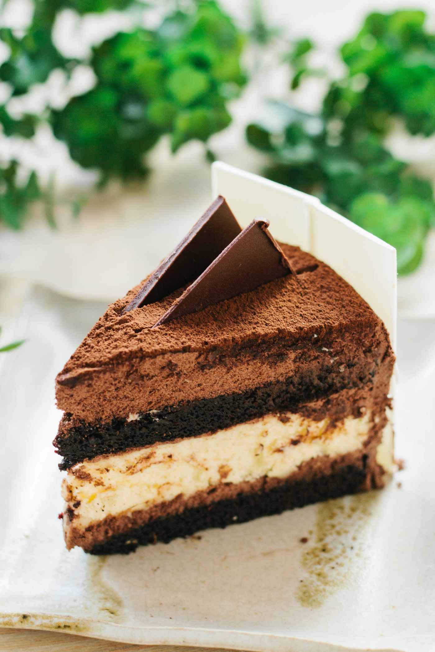 A slice of layered chocolate mousse cake