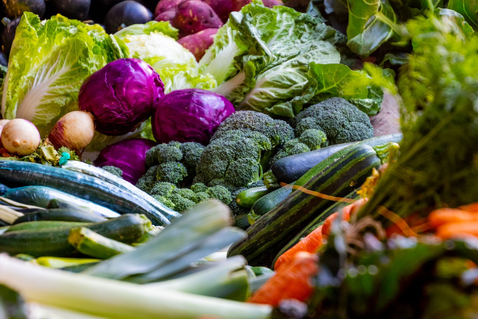 Baskets of fresh seasonal vegetables and produce