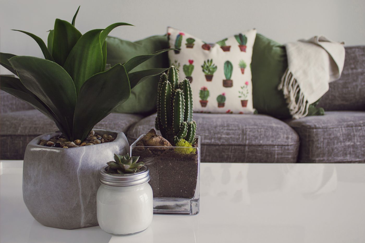 A tidy shelf of potted succulents and a small plant in a jar