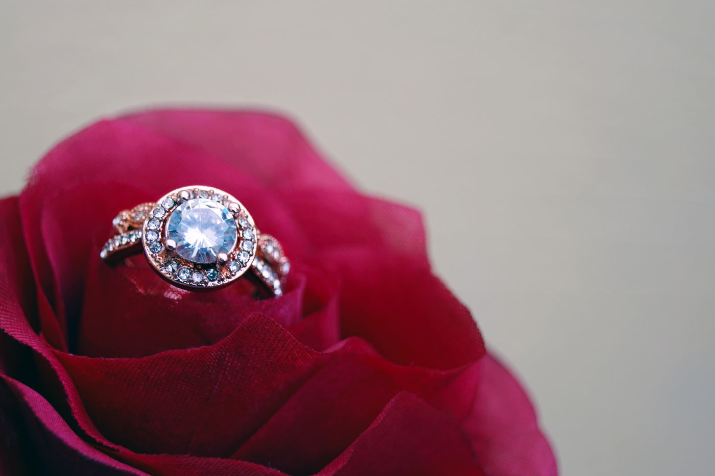A halo ring resting on a rose