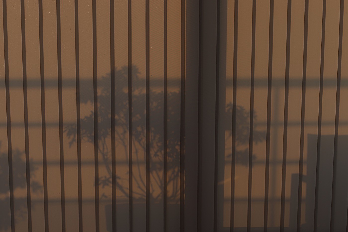Soft afternoon light filtered through vertical blinds