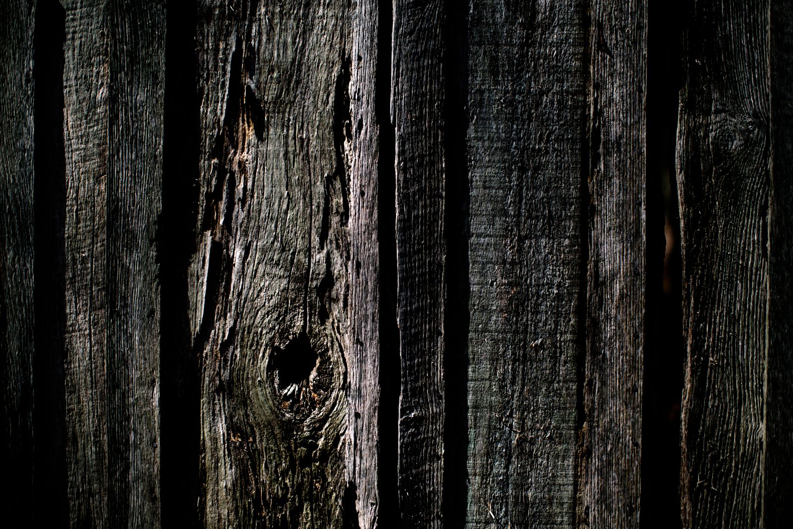 Weathered cedar fence grain with knots