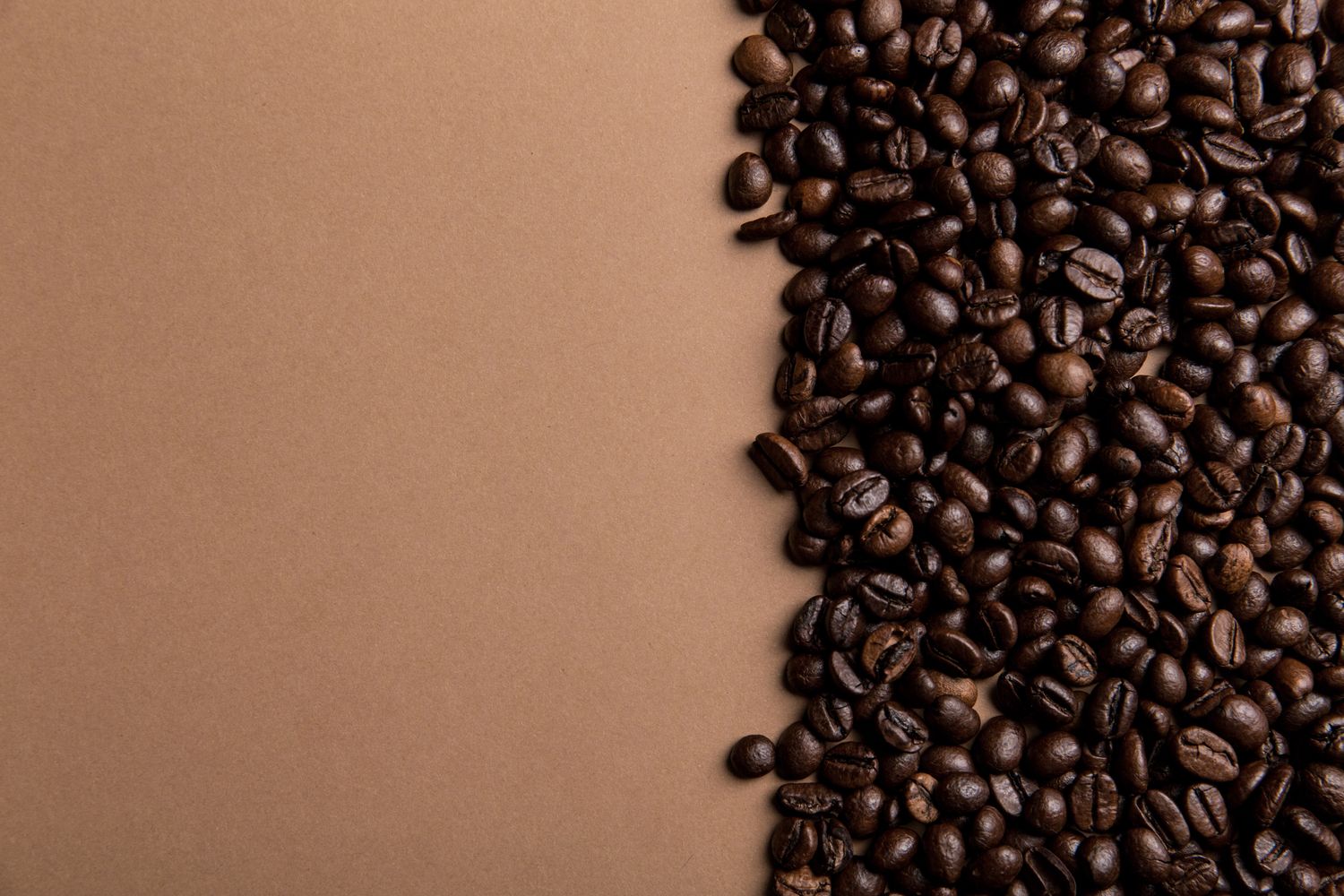 Freshly roasted coffee beans