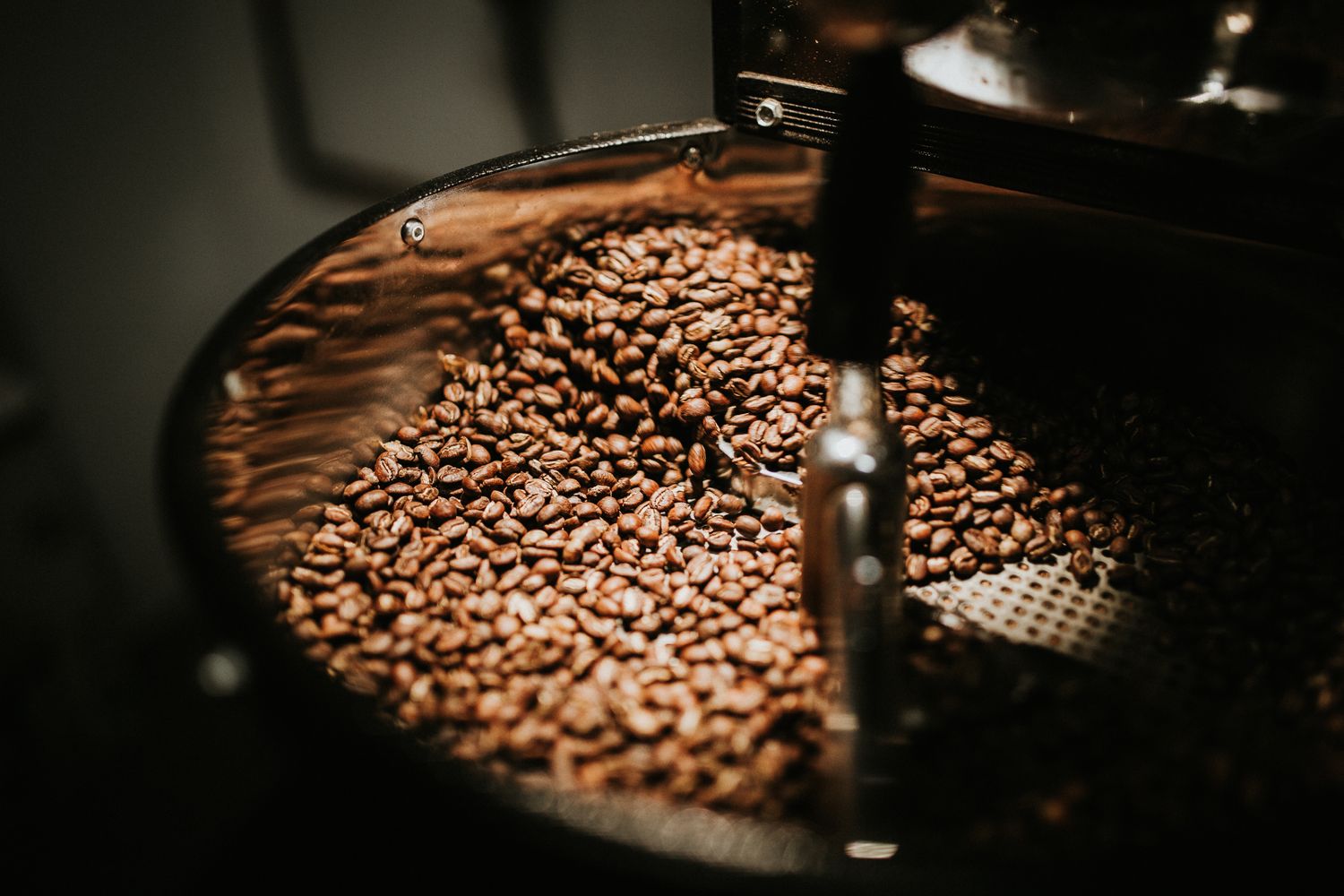 Roasted coffee beans tumbling in the drum