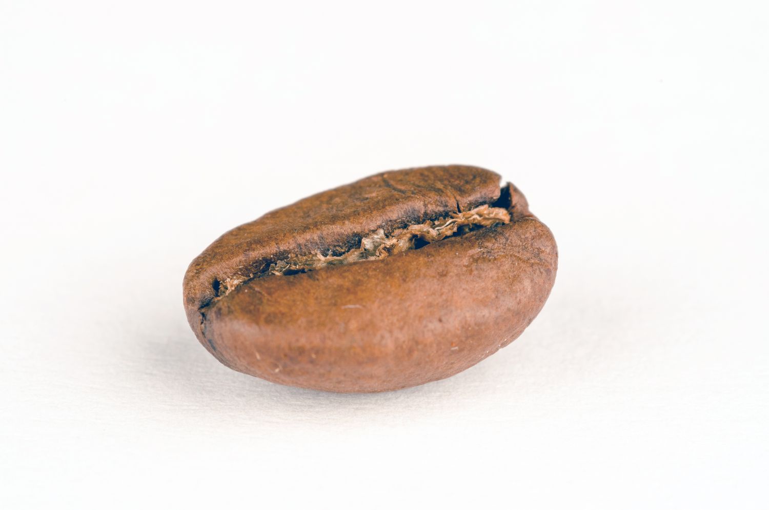 A single roasted coffee bean