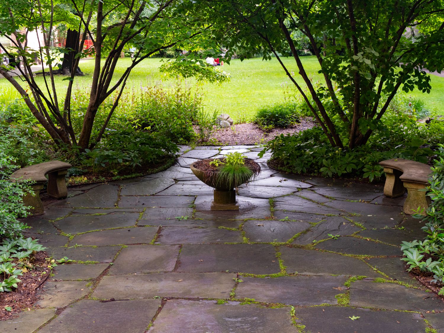 A flagstone path winding through a garden