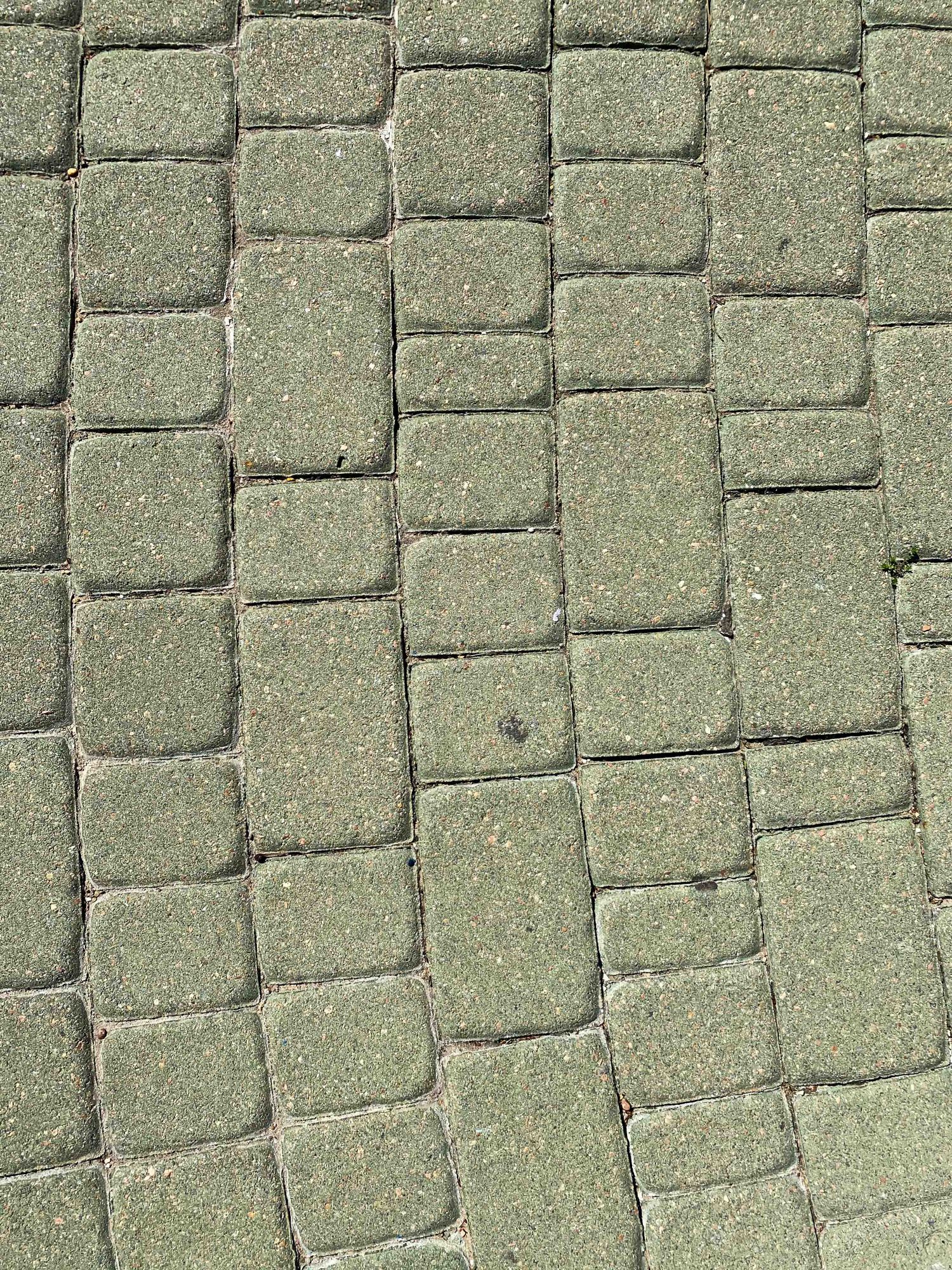 Cobblestone path