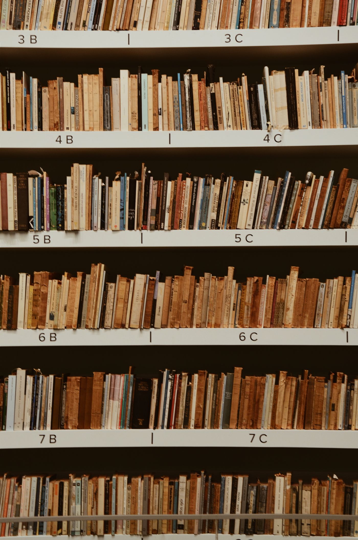 Rows of colourful book spines on a shelf